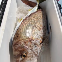 第二八坂丸 釣果