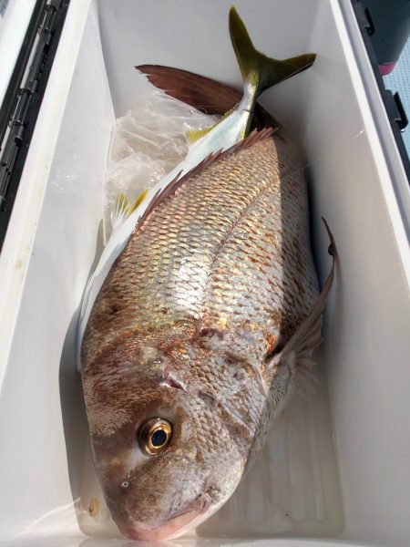 第二八坂丸 釣果