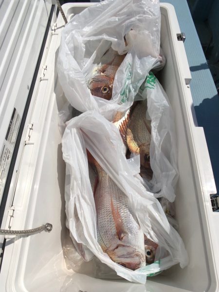 第二八坂丸 釣果