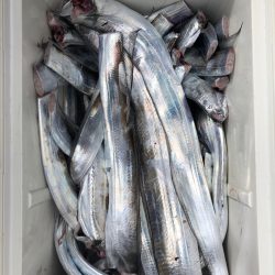 フィッシング　キッタカ 釣果