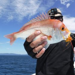 BlueNote Fishing Taxi 釣果