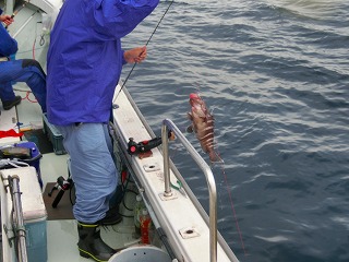 第二清洋丸 釣果