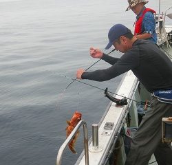 第二清洋丸 釣果