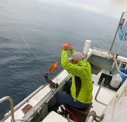 第二清洋丸 釣果