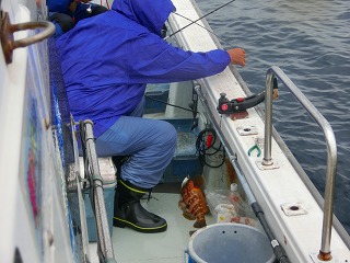 第二清洋丸 釣果