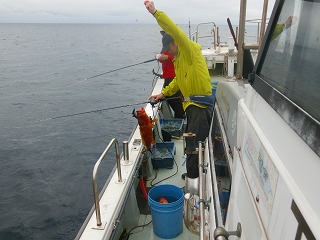 第二清洋丸 釣果