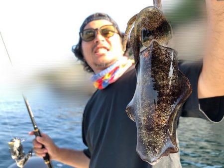 Magic(マジック) 釣果