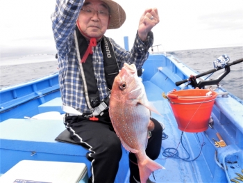 鯛紅丸 釣果