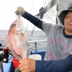 鯛紅丸 釣果