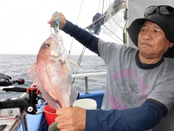 鯛紅丸 釣果