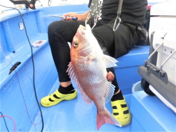 鯛紅丸 釣果