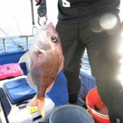 鯛紅丸 釣果