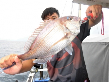 鯛紅丸 釣果