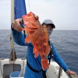 鯛紅丸 釣果