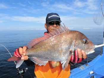 鯛紅丸 釣果