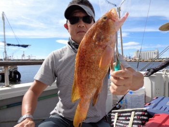 鯛紅丸 釣果
