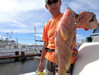 鯛紅丸 釣果