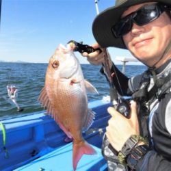 鯛紅丸 釣果