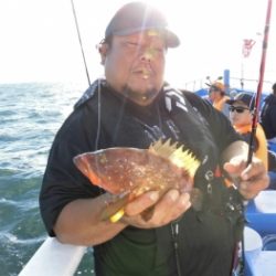 鯛紅丸 釣果