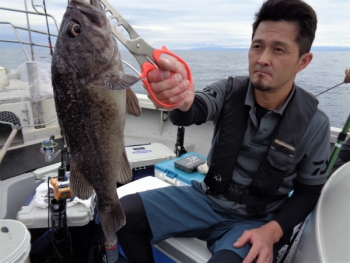 鯛紅丸 釣果