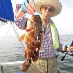 鯛紅丸 釣果