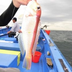 鯛紅丸 釣果