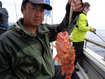 鯛紅丸 釣果