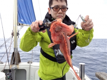 鯛紅丸 釣果