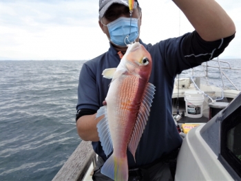 鯛紅丸 釣果