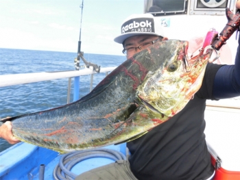 鯛紅丸 釣果