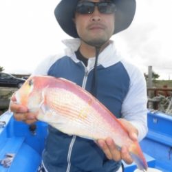 鯛紅丸 釣果