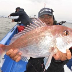 鯛紅丸 釣果