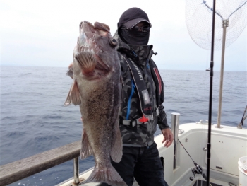 鯛紅丸 釣果