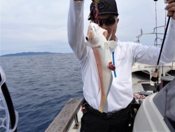 鯛紅丸 釣果
