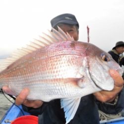 鯛紅丸 釣果