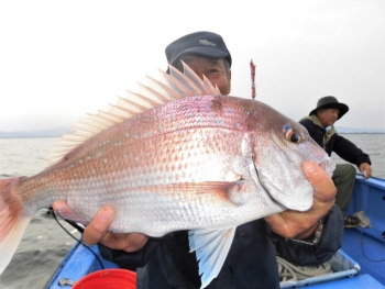 鯛紅丸 釣果
