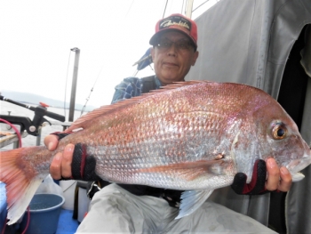鯛紅丸 釣果