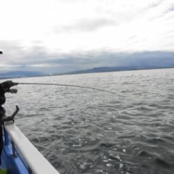 鯛紅丸 釣果