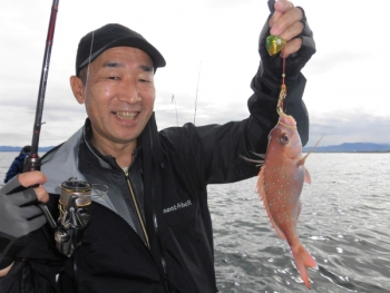 鯛紅丸 釣果