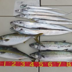 Hit Rush(ヒット ラッシュ) 釣果