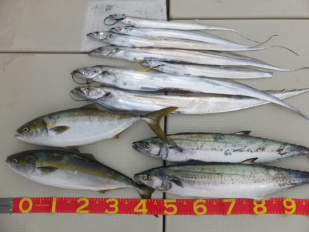 Hit Rush(ヒット ラッシュ） 釣果…