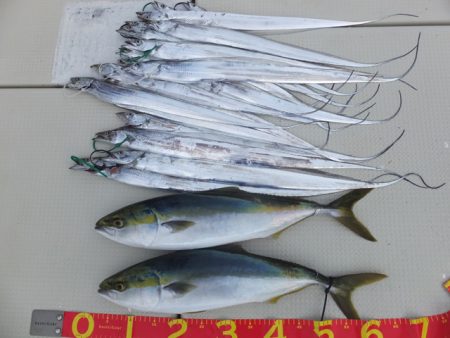 Hit Rush(ヒット ラッシュ） 釣果…