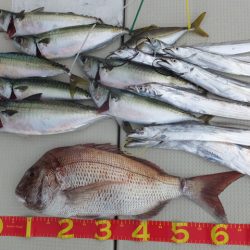 Hit Rush(ヒット ラッシュ) 釣果