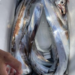 釣船 浦島太郎 釣果