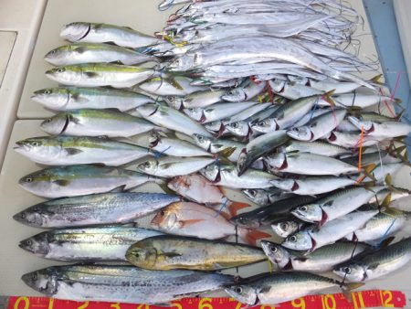 Hit Rush(ヒット ラッシュ） 釣果…