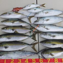 Hit Rush(ヒット ラッシュ) 釣果