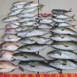 Hit Rush(ヒット ラッシュ) 釣果