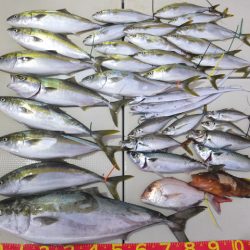 Hit Rush(ヒット ラッシュ） 釣果