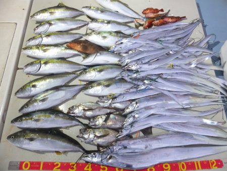 Hit Rush(ヒット ラッシュ） 釣果…