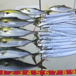 Hit Rush(ヒット ラッシュ) 釣果